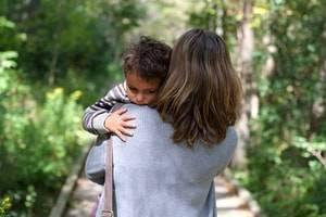 allocating parental responsibilities, Hoffman Estates family law attorney, parental rights, temporary custody order, emergency temporary custody order