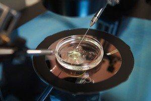 fertility treatment, Palatine Family Law Attorney, frozen embryos